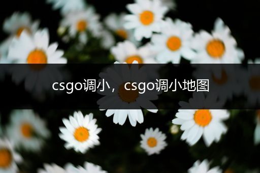 csgo调小，csgo调小地图