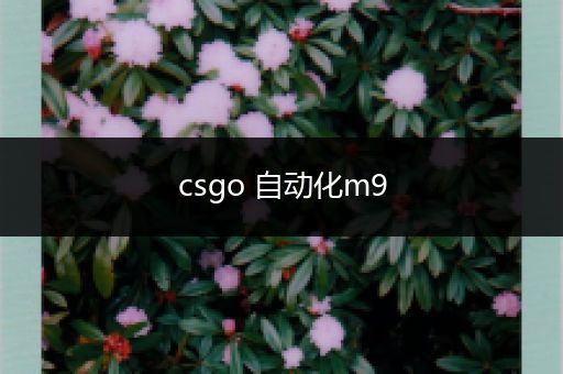 csgo 自动化m9