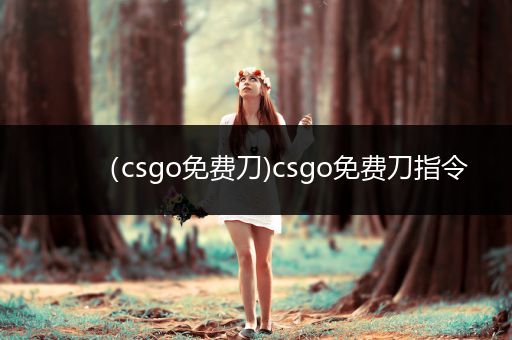 （csgo免费刀)csgo免费刀指令