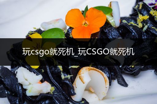 玩csgo就死机_玩CSGO就死机