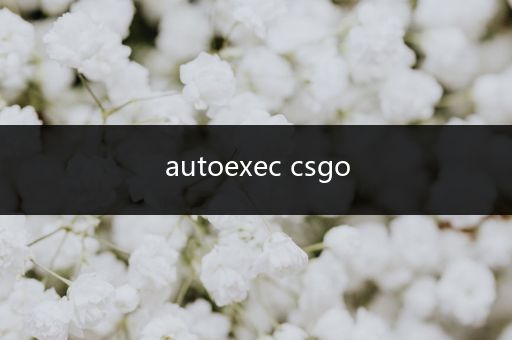 autoexec csgo