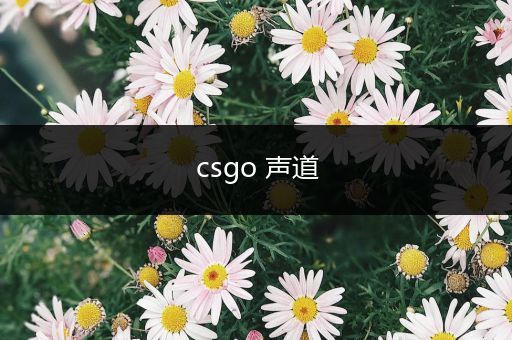 csgo 声道