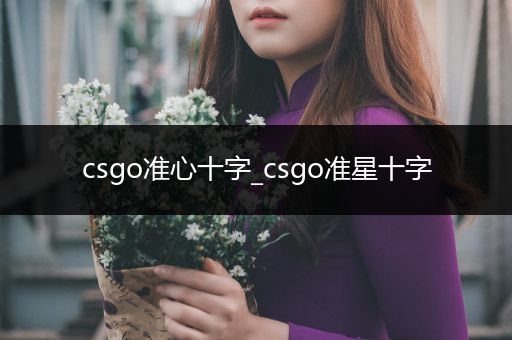 csgo准心十字_csgo准星十字