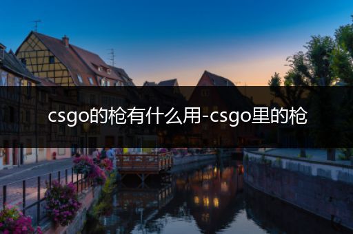 csgo的枪有什么用-csgo里的枪