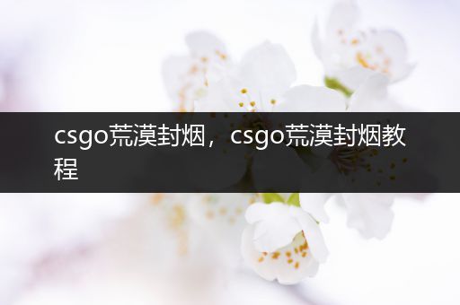 csgo荒漠封烟，csgo荒漠封烟教程