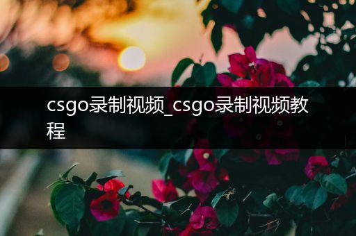 csgo录制视频_csgo录制视频教程