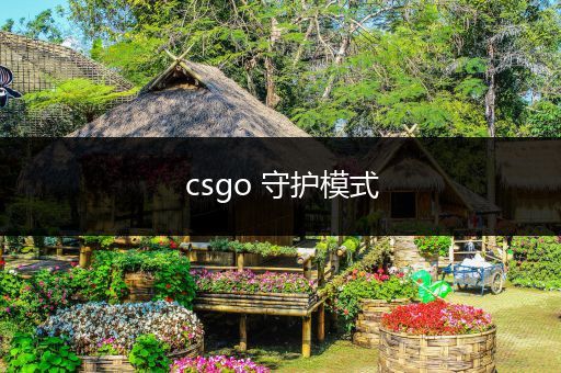 csgo 守护模式