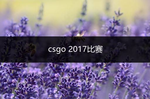 csgo 2017比赛