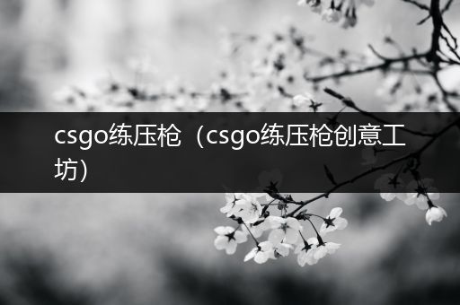 csgo练压枪（csgo练压枪创意工坊）