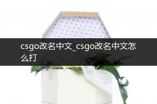 csgo改名中文_csgo改名中文怎么打