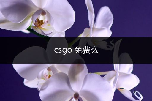 csgo 免费么