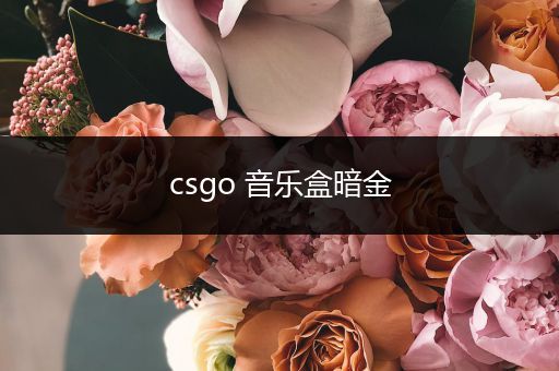 csgo 音乐盒暗金