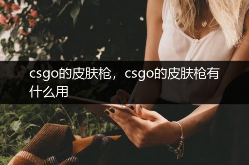 csgo的皮肤枪，csgo的皮肤枪有什么用