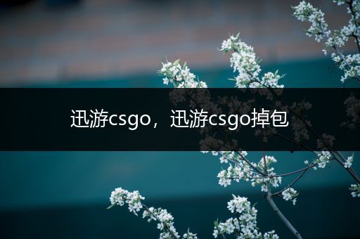 迅游csgo，迅游csgo掉包