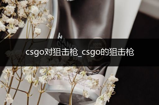 csgo对狙击枪_csgo的狙击枪