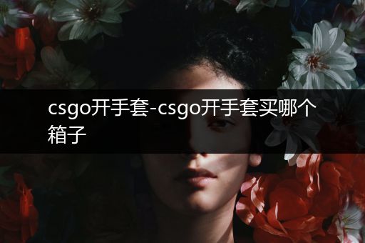 csgo开手套-csgo开手套买哪个箱子