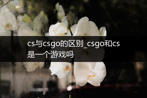 cs与csgo的区别_csgo和cs是一个游戏吗