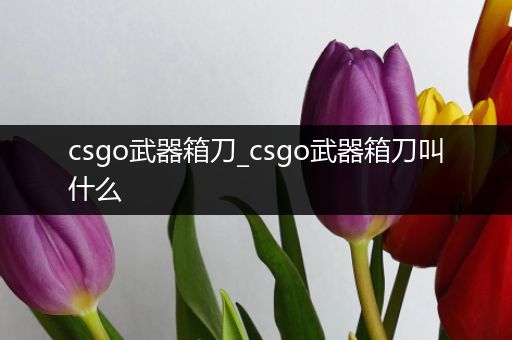 csgo武器箱刀_csgo武器箱刀叫什么