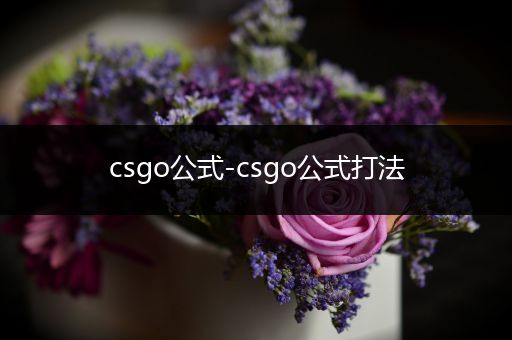 csgo公式-csgo公式打法