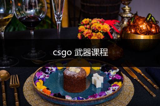 csgo 武器课程