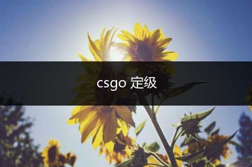 csgo 定级