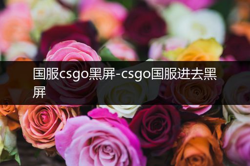 国服csgo黑屏-csgo国服进去黑屏