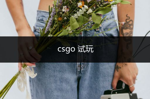 csgo 试玩