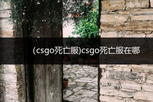 （csgo死亡服)csgo死亡服在哪