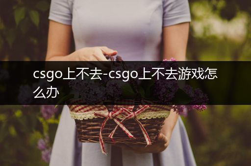 csgo上不去-csgo上不去游戏怎么办