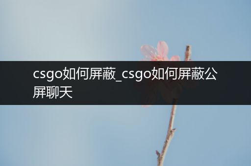 csgo如何屏蔽_csgo如何屏蔽公屏聊天