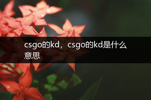 csgo的kd，csgo的kd是什么意思