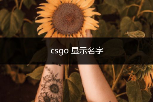 csgo 显示名字