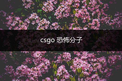 csgo 恐怖分子