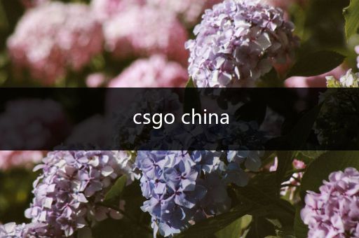 csgo china