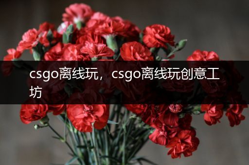 csgo离线玩，csgo离线玩创意工坊