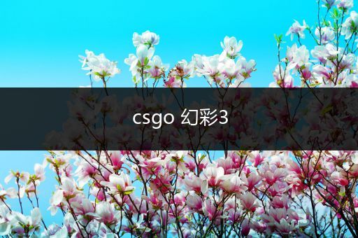 csgo 幻彩3