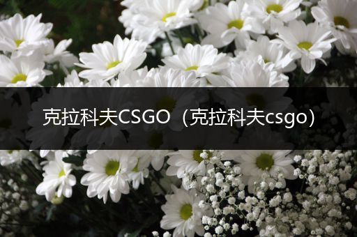 克拉科夫CSGO（克拉科夫csgo）