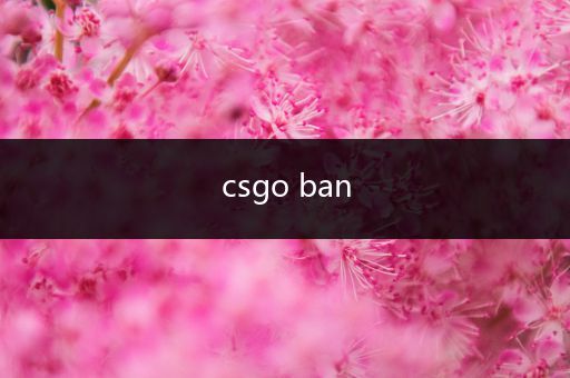 csgo ban