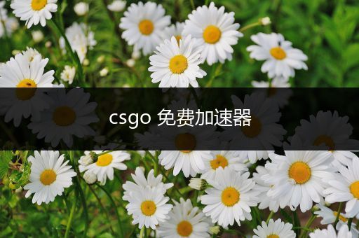 csgo 免费加速器