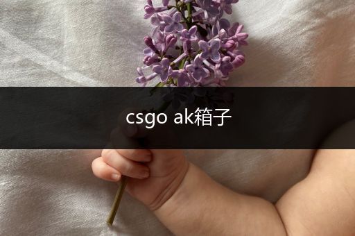 csgo ak箱子