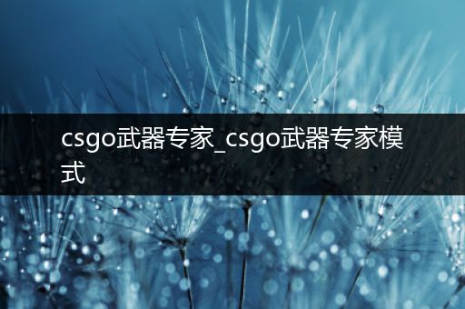 csgo武器专家_csgo武器专家模式