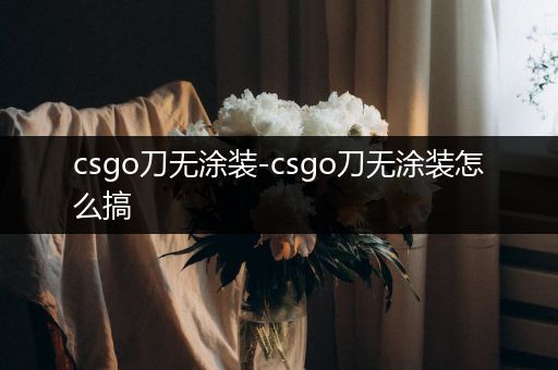 csgo刀无涂装-csgo刀无涂装怎么搞