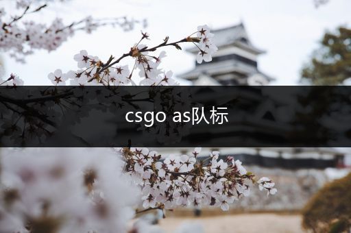 csgo as队标