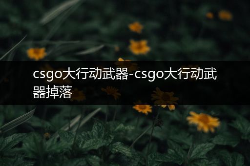 csgo大行动武器-csgo大行动武器掉落