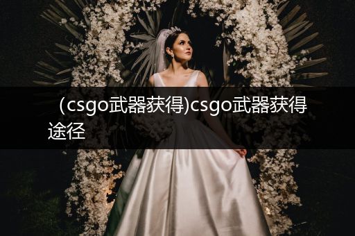 （csgo武器获得)csgo武器获得途径