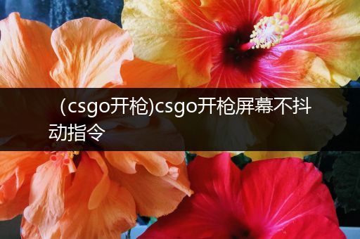 （csgo开枪)csgo开枪屏幕不抖动指令