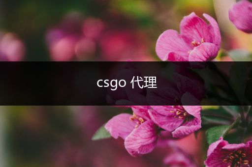 csgo 代理