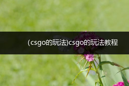 （csgo的玩法)csgo的玩法教程