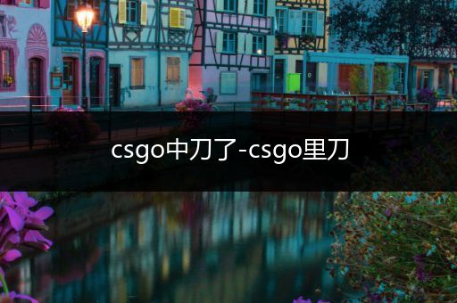 csgo中刀了-csgo里刀