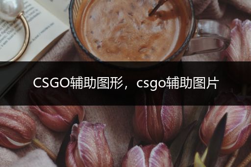 CSGO辅助图形，csgo辅助图片